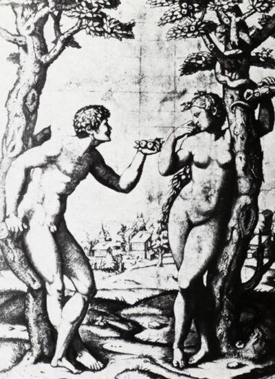Marcantonio Raimondi (1480-1530), naar Rafaël (1483-1520). Adam en Eva. Rubenshuis