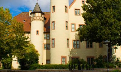 Arnold en zijn opvolgers bouwden in het Beierse graafschap Rieneck verschillende burchten, zoals Burg Rieneck die ze anderhalve eeuw later verlieten voor het Schloss in Lohr am Main