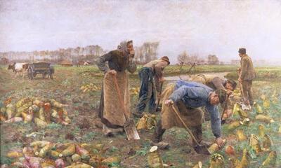 Bietenoogst Emile Claus