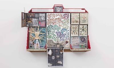Patrick Van Caeckenbergh - Maquette: De boodschap der ingewanden
