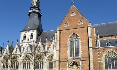 Sint-Quintinuskathedraal Hasselt