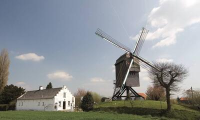 Hertboomwindmolen