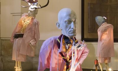 Johan Muyle - No room for regrets