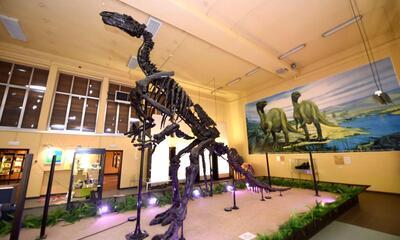 Musée de l'iguanodon