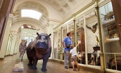 Musée d'Histoire naturelle & Vivarium