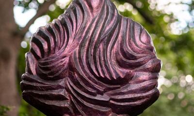 Tramaine de Senna, Figure of Color