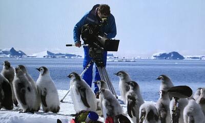 Antartica