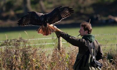 Kris met roofvogel