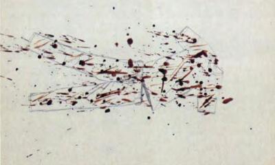 Jan Fabre - Landschap met bloed getekend