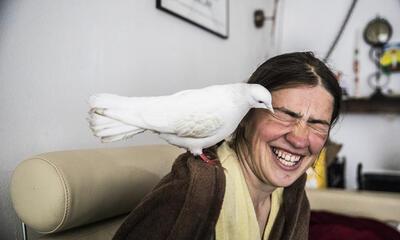 Aurélie Geurts, Tamarinde, 2021