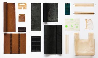 Studio Samuel Tomatis – Alga
