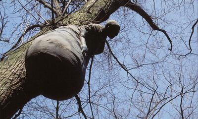 Openluchtmuseum voor Beeldhouwkunst Middelheim