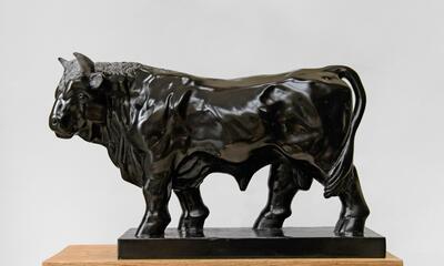 Jeroen Vercruysse, Black Bull