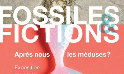 Fossielen en ficties