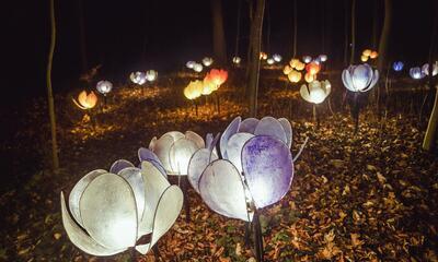 Lichtfestival WinterFloridylle