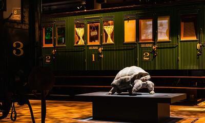 Trainworld - Animalia