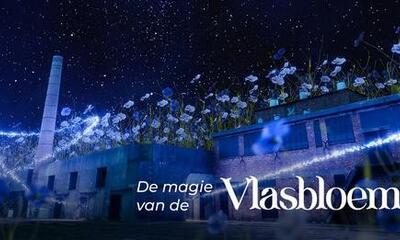 De magie van de vlasbloem