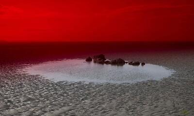 Alice Pallot, Plage stérile, Algues maudites, a sea of tears, 2022