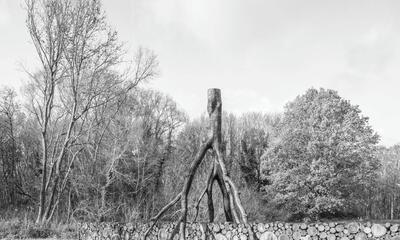 Paul D'Haese , Uit de serie Replica Falsifica
