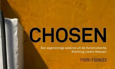 Kunstplatform Zebrastraat - Expo Chosen