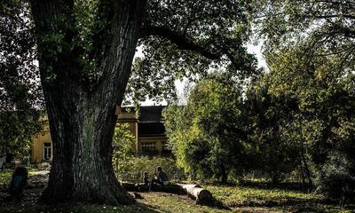 Kina, Museum voor kind en natuur - De Tuin