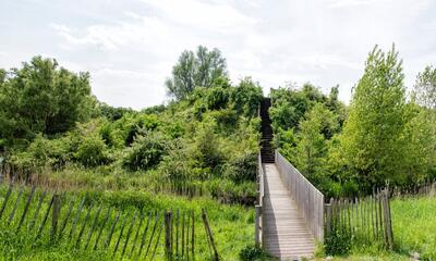 Het mottekasteel Hoge Wal te Ertvelde, België