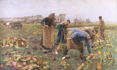 Emile Claus, De Bietenoogst