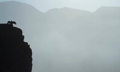 Denise Ferreira da Silva & Arjuna Neuman, still from 'Ancestral Clouds Ancestral Claims', 2023 (1)