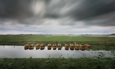 Buitenkunst Tussen eb en vloed