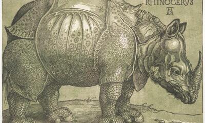 Albrecht Dürer, Rhinocerus