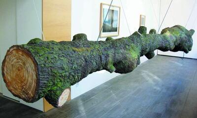 Peter de Cupere, Olifactory Tree