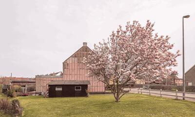 Glenn Van Der Beke - Mighty Magnolia