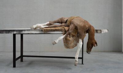 Berlinde De Bruyckere, Lost V, 2021-2022