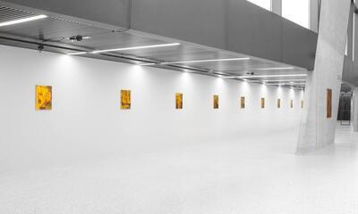 Expo Sybren Vanoverberghe - MUSA zaalzicht