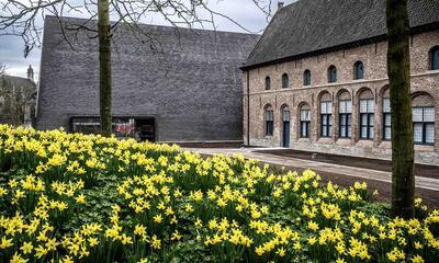 Abby, Kortrijk een nieuw begin