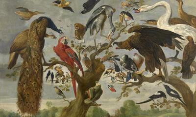 de kijkhut: vogelconcert