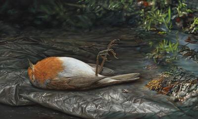 Gedeelde woede in Kapel Rozenkrans