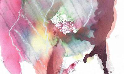 Dagdromen door Anders Bekeken