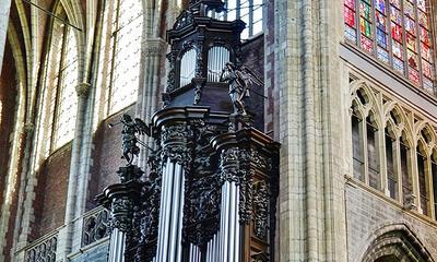 Ludovicus Bis en Petrus d'Estré, Het orgel