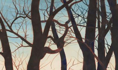 Het beeld geëvaporeerd geheugen