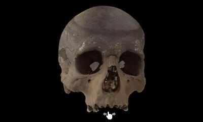 Oudste schedel van Vlaanderen