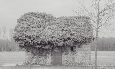 Erwin Acke, reeks State of transcience