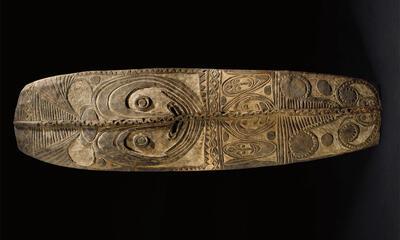 Sepik Schild uit Nieuw-Guinea