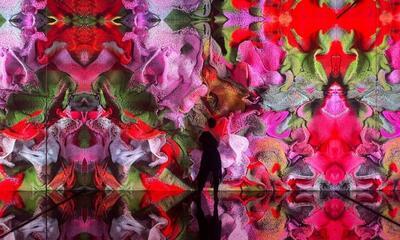 Refik Anadol - Metamorphosis Serpenti