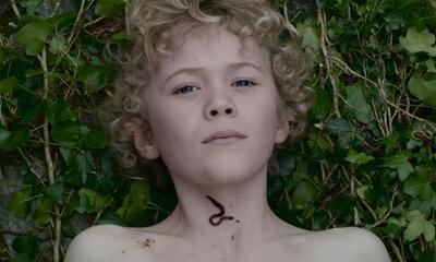 Els Dietvorst - The Rabbit and the Teasel