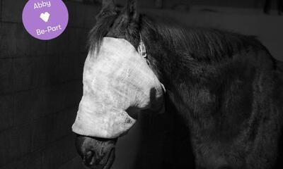 Tom Callemin - Double Reality