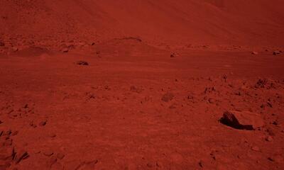 Francisca García & Mario Navarro - Unearthed Conversation