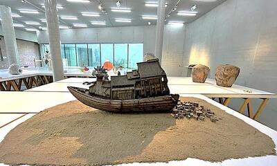 Frank Steyaert, Booturne