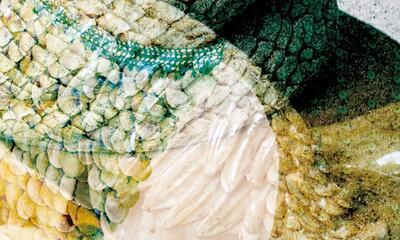 Prijs residentie jonge keramische creatie van de Fédération Wallonie-Bruxelles 