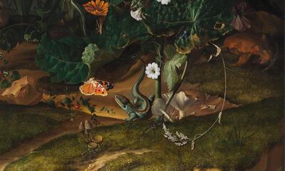 De Kijkhut: Bloemen, vlinders, insecten, een hagedis en padden naast een poel